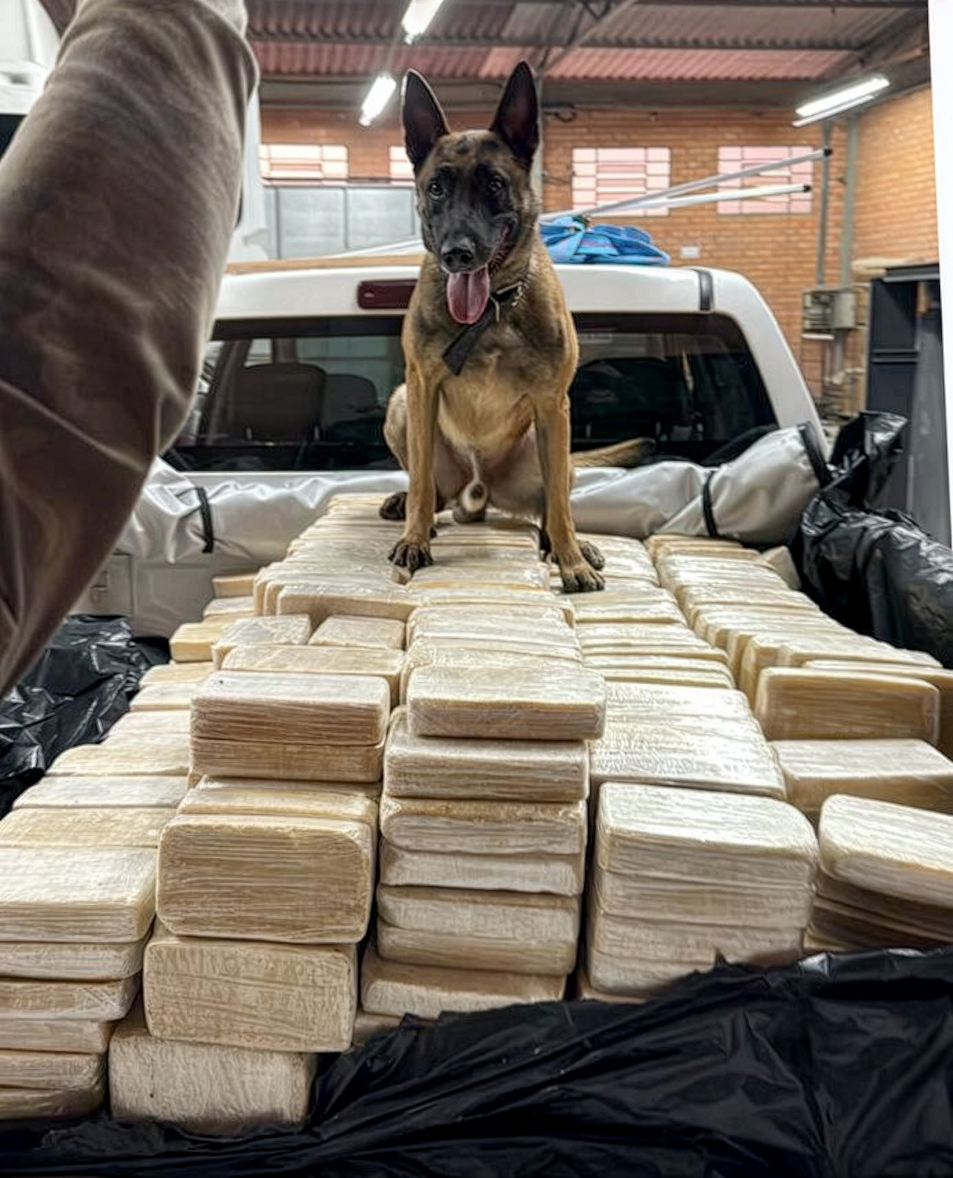 PF desarticula rota de cocaína SC/Europa