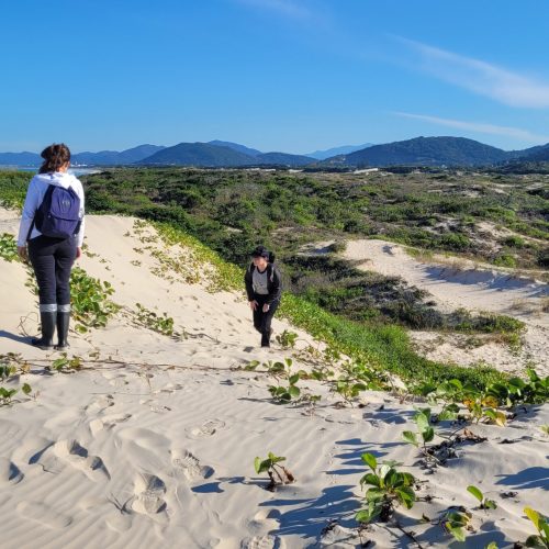 Recurso sobre vegetação de restinga é rejeitado pelo STJ