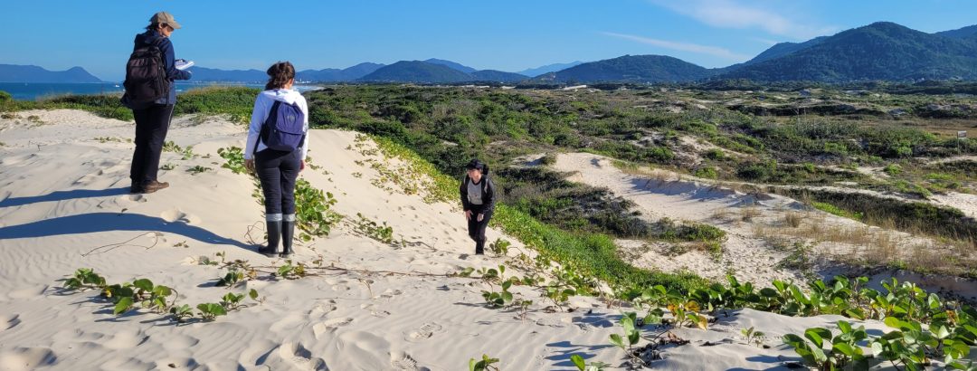 Recurso sobre vegetação de restinga é rejeitado pelo STJ