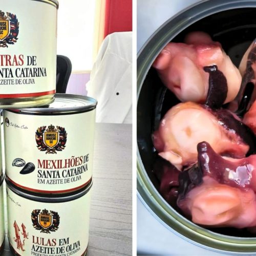 FLORIPA VAI PARA A LATA