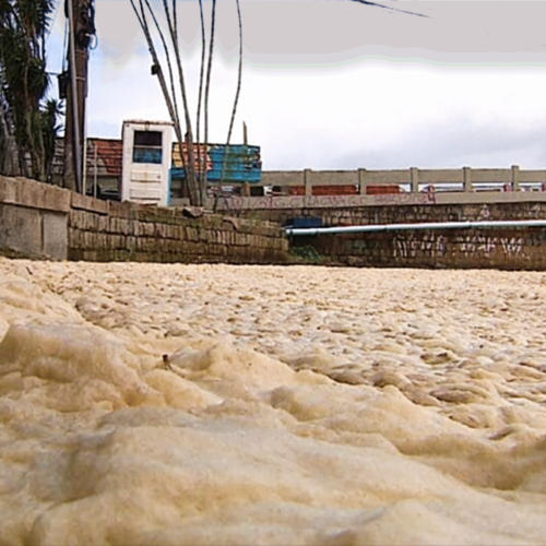 Estamos matando nossa galinha dos ovos de ouro