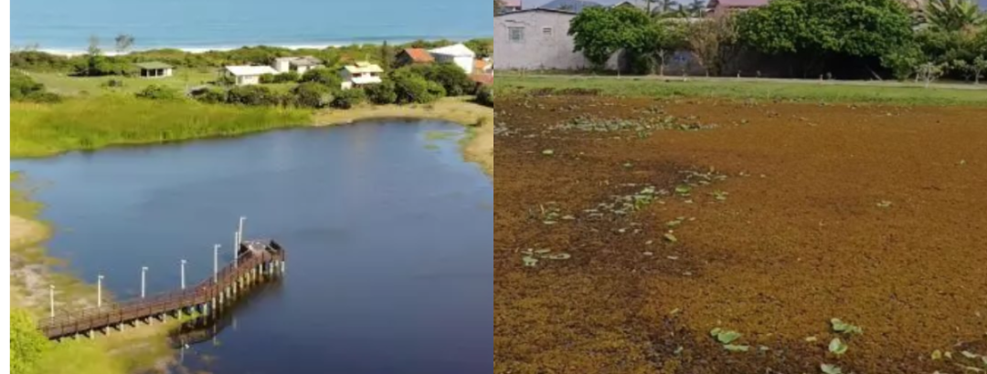 LAGOA NÃO É RALO