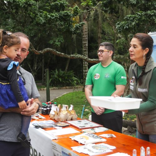DIA NO PARQUE