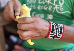 A força da ancestralidade