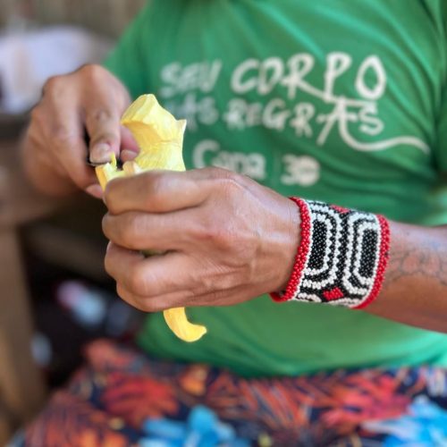 A força da ancestralidade