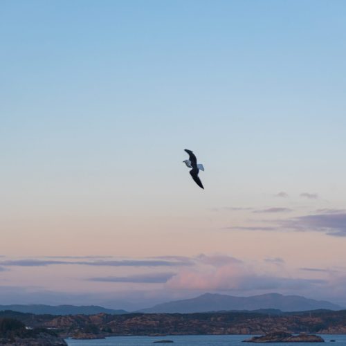 O RECUO ANTES DO SALTO
