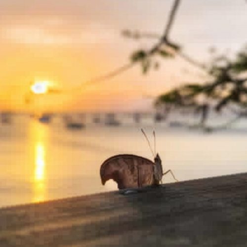Seis meses, um voo que está só começando