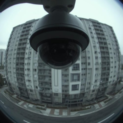 Celebrar a vida também é protegê-la