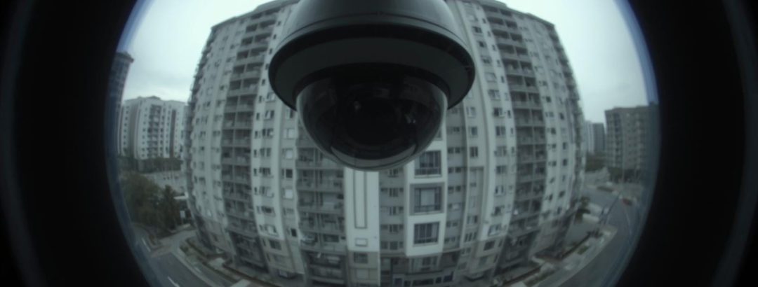 Celebrar a vida também é protegê-la