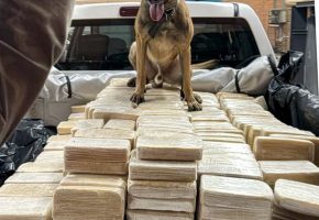 PF desarticula rota de cocaína SC/Europa