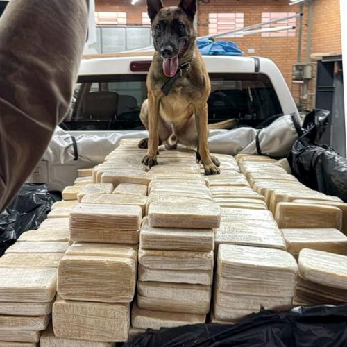 PF desarticula rota de cocaína SC/Europa