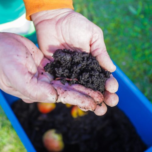 Compostagem Doméstica em Expansão