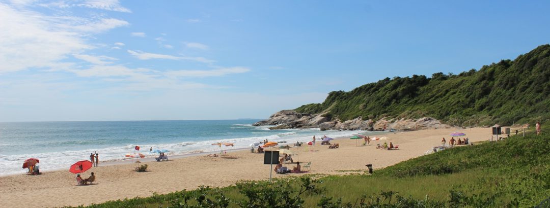 Toda a nudez será castigada