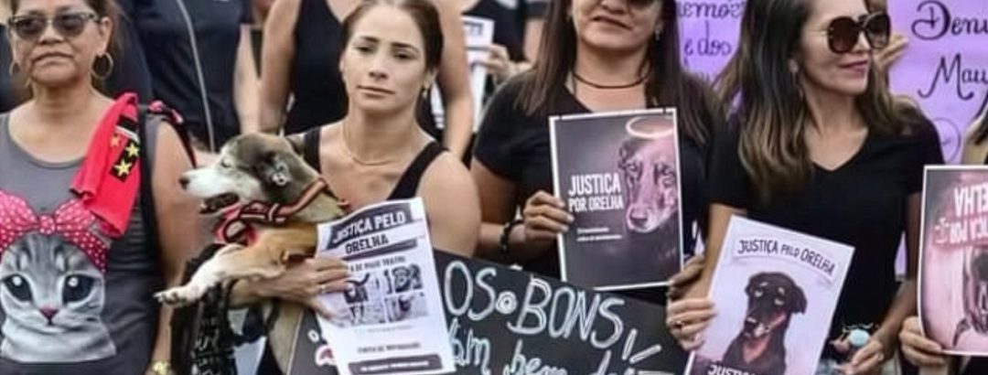 Caso Orelha entre o clamor das redes e os limites da lei